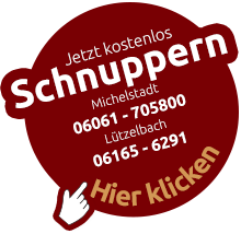 Button zur Schnupperstunde